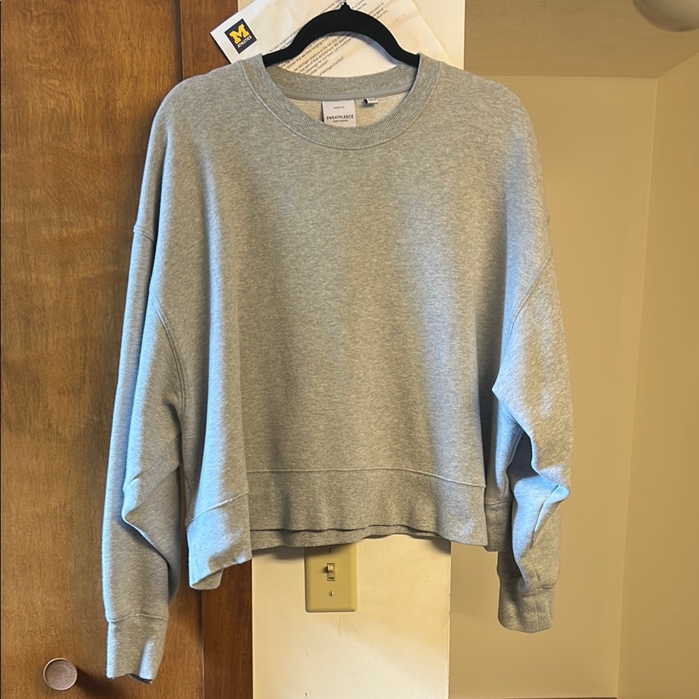 Aritzia Cozy Fleece Sweatshirt in Light Gray